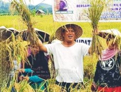 Konut Urutan Kedua Se-Sultra Komoditi Pangan 