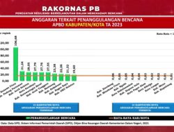 Mendagri Apresiasi Pemkab Konut Tertinggi Anggaran Penanggulangan Bencana 