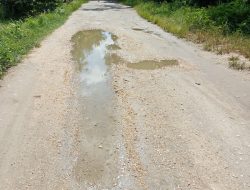 Jalan Tak Kunjung Diperbaiki, Besok Warga Tudaone-Kel Konawe Bakal Geruduk Kantor DPRD