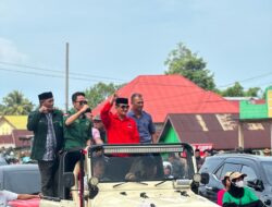 Abuhaera Satu-satunya Kader PDIP di Pilkada Konut