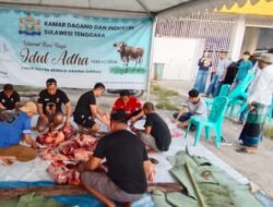 Kadin Sultra Bagikan Ratusan Kilo Daging Kurban untuk Warga Kendari
