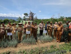 Komoditi Bawang Merah Jadi Upaya Ruksamin Tekan Inflasi di Konut
