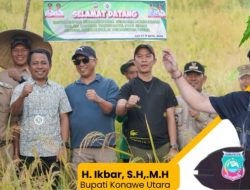 Pemkab Konut Panen Padi Gogo di Desa Asemi Nunulai 